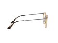 Ray-Ban Silmalasit RX 7140 2012