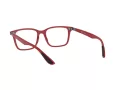 Ray-Ban Ferrari Silmalasit RX 7144M F628