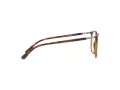 Ray-Ban Silmalasit RX 7190 2012