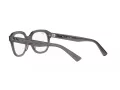 Ray-Ban Erik Silmalasit RX 7215 8257