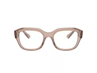 Ray-Ban Leonid Silmalasit RX 0RX7225 8317