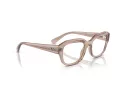 Ray-Ban Leonid Silmalasit RX 0RX7225 8317