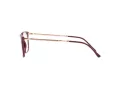 Ray-Ban Silmalasit RX 7244 8099