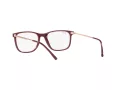 Ray-Ban Silmalasit RX 7244 8099