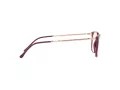 Ray-Ban Silmalasit RX 7244 8099