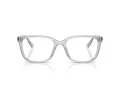 Ray-Ban Silmalasit RX 7248D 8411