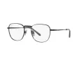 Ray-Ban Frank Titanium Silmalasit RX 8258V 1237
