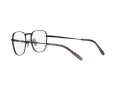 Ray-Ban Frank Titanium Silmalasit RX 8258V 1237