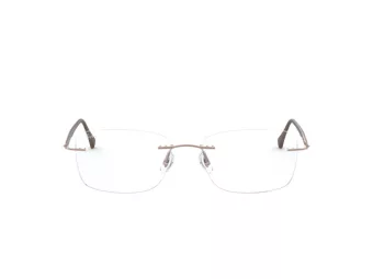 Ray-Ban Silmalasit RX 8725 1131
