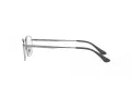 Ray-Ban Silmalasit RX 8775D 1047