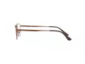 Ray-Ban Silmalasit RX 8775D 1121