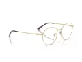 Ray-Ban Silmalasit RX 8778D 1251
