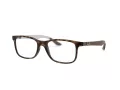 Ray-Ban Silmalasit RX 8903 5200