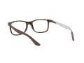 Ray-Ban Silmalasit RX 8903 5200