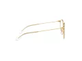 Ray-Ban Silmalasit RY 1053 4078
