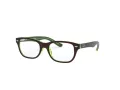 Ray-Ban Silmalasit RY 1555 3665