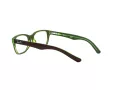 Ray-Ban Silmalasit RY 1555 3665