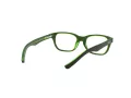 Ray-Ban Silmalasit RY 1555 3665