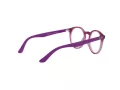 Ray-Ban Silmalasit RY 1594 3813