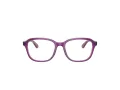 Ray-Ban Silmalasit RY 1627 3944