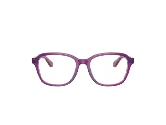 Ray-Ban Silmalasit RY 1627 3944