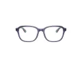 Ray-Ban Silmalasit RY 1627 3945