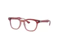 Ray-Ban Silmalasit RY 9098V 3960
