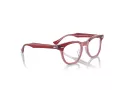 Ray-Ban Silmalasit RY 9098V 3960