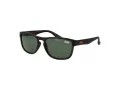Superdry Aurinkolasit SDS Rockstar 122