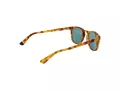 Superdry Aurinkolasit SDS Roku 170