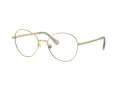 Swarovski Silmalasit SK 1013 4017