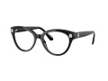 Swarovski Silmalasit SK 2037 1001