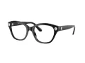 Swarovski Silmalasit SK 2038 1001