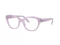 Swarovski Silmalasit SK 2038 1075