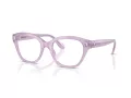Swarovski Silmalasit SK 2038 1075