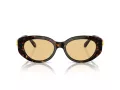 Swarovski Aurinkolasit SK 6002 1002/8