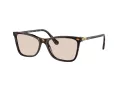 Swarovski Aurinkolasit SK 6004 1002M4