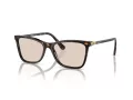 Swarovski Aurinkolasit SK 6004 1002M4