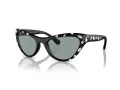 Swarovski Aurinkolasit SK 6007 1020/1