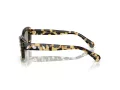 Swarovski Aurinkolasit SK 6008 1009/2