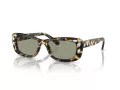 Swarovski Aurinkolasit SK 6008 1009/2