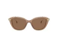 Swarovski Aurinkolasit SK 6010 2002OK
