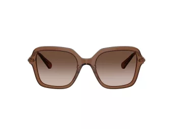 Swarovski Aurinkolasit SK 6040 106713