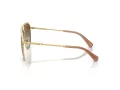 Swarovski Aurinkolasit SK 7005 4004T5