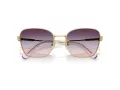 Swarovski Aurinkolasit SK 7029 4036U7