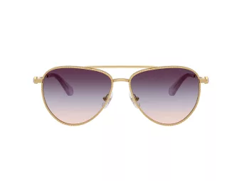 Swarovski Aurinkolasit SK 7031 4036U7