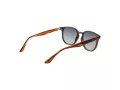 Ted Baker Aurinkolasit TB 1655 949