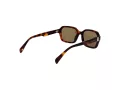 Ted Baker Aurinkolasit TB 1697 101