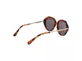 Ted Baker Aurinkolasit TB 1731 188
