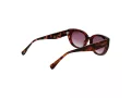 Ted Baker Aurinkolasit TB 1737 100